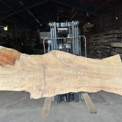Maple Slab 230054