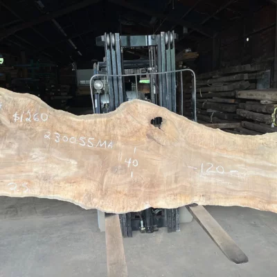 Maple Slab 230055