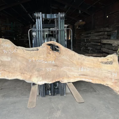 Maple Slab 230056