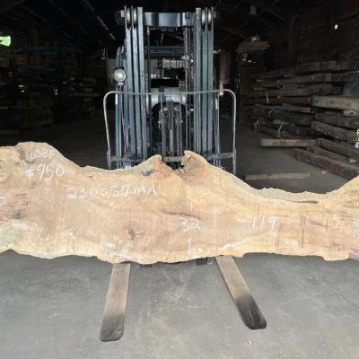 Maple Slab 230057