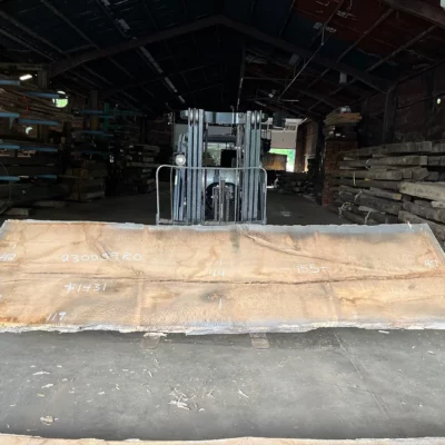 Red Oak Slab 230059