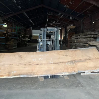 Red Oak Slab 230060