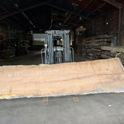 Red Oak Slab 230061