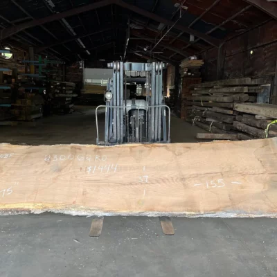 Red Oak Slab 230062