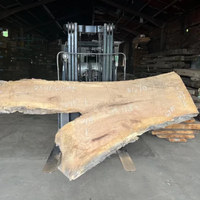 Maple Slab 230065