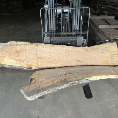 Maple Slab 230066