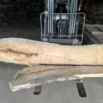 Maple Slab 230067