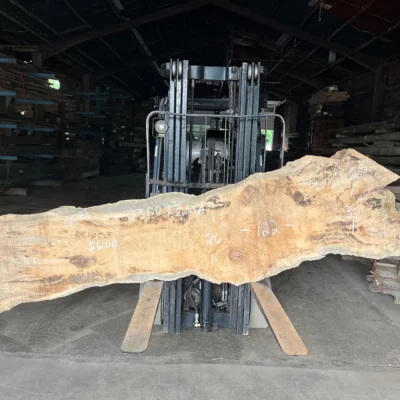 Maple Slab 230073