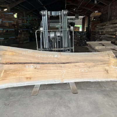 Sycamore Slab 230076