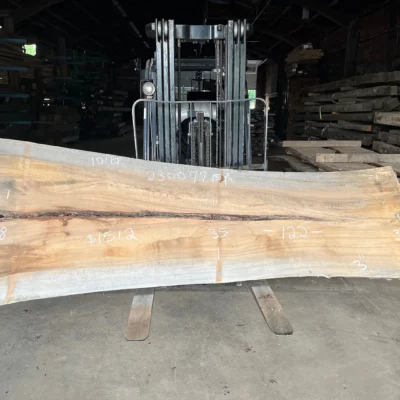 Sycamore Slab 230077