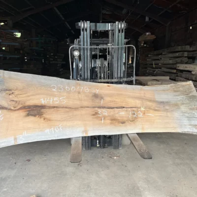 Sycamore Slab 230078