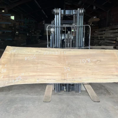 Elm Slab 230080