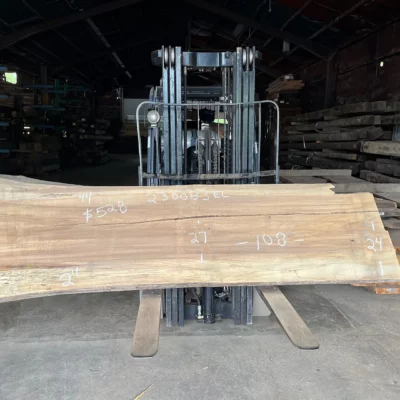Elm Slab 230073