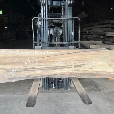Elm Slab 230085