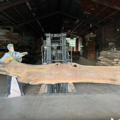 Walnut Slab 230173