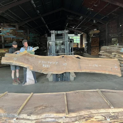 Walnut Slab 230174