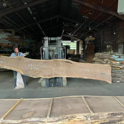 Walnut Slab 230175