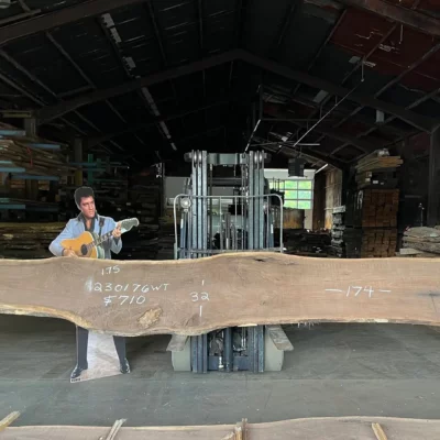 Walnut Slab 230176