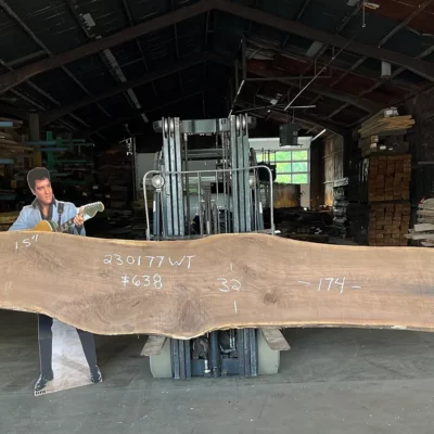 Walnut Slab 230177