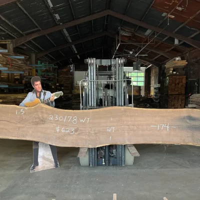 Walnut Slab 230178