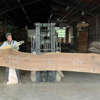 Walnut Slab 230180