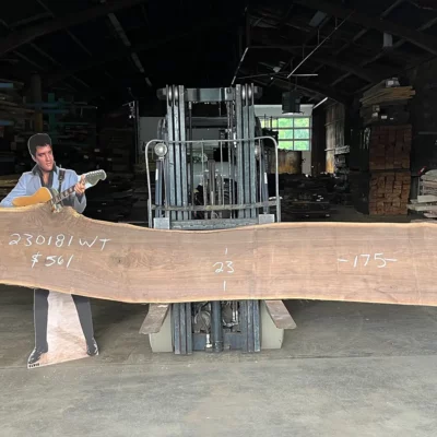 Walnut Slab 230181