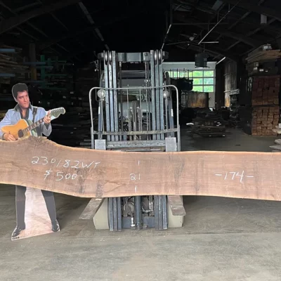 Walnut Slab 230182