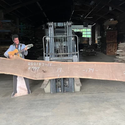 Walnut Slab 230183