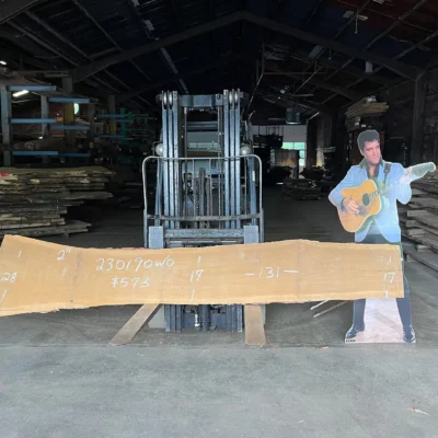 White Oak Slab 230190