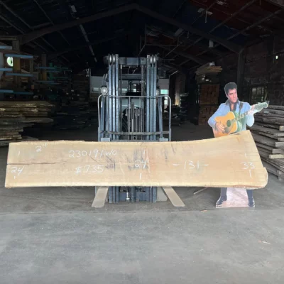 White Oak Slab 230191