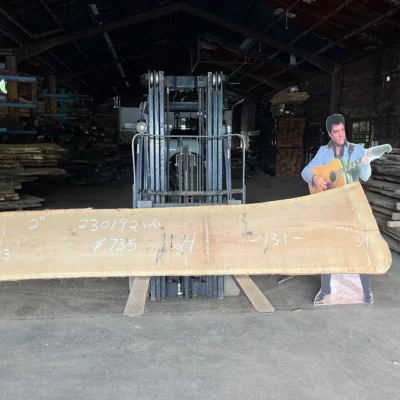 White Oak Slab 230192