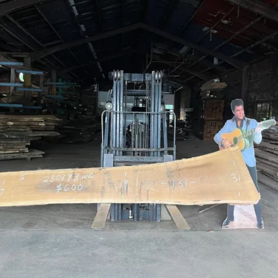 White Oak Slab 230193