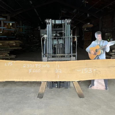 White Oak Slab 230195