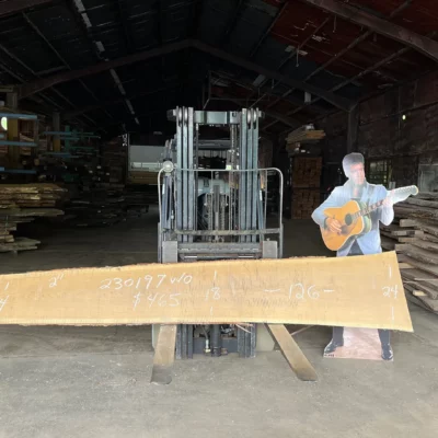 White Oak Slab 230196
