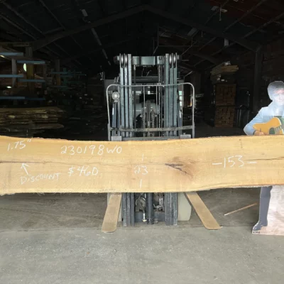 White Oak Slab 230197