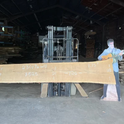 White Oak Slab 230198