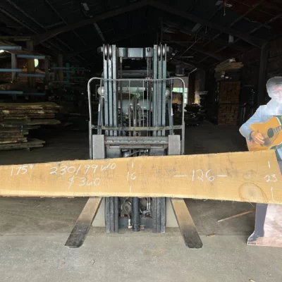 White Oak Slab 230199