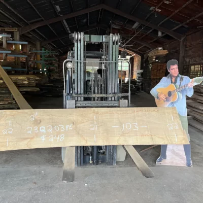 Pecan Slab 230203