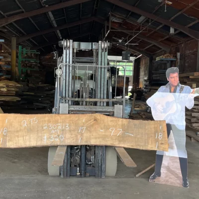 Ambrosia Maple Slab 230213