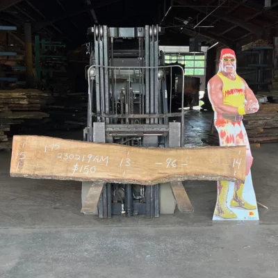 Ambrosia Maple Slab 230219