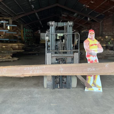 Walnut Slab 230233