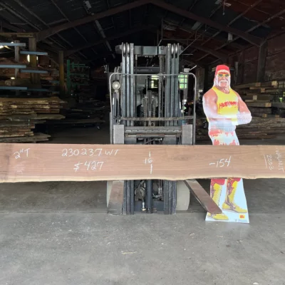 Walnut Slab 230237