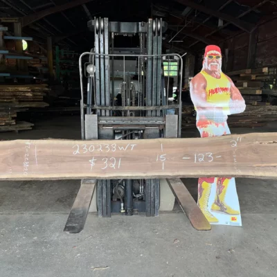 Walnut Slab 230238