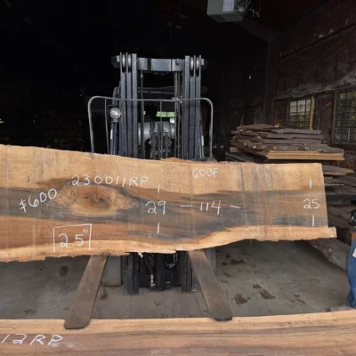 Rainbow Poplar Slab 230011