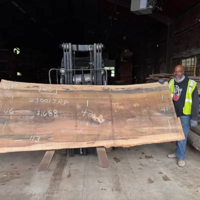 Rainbow Poplar Slab 230013