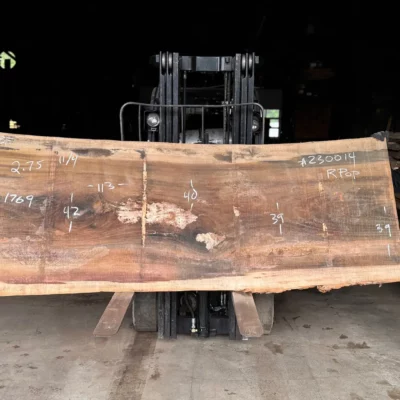 Rainbow Poplar Slab 230014