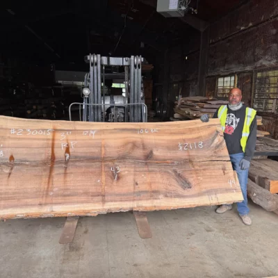 Rainbow Poplar Slab 230015