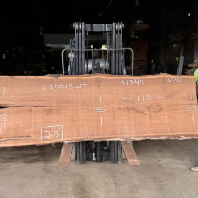Walnut Slab 230018