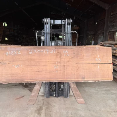 Walnut Slab 230019
