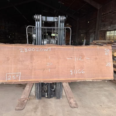 Walnut Slab 230020